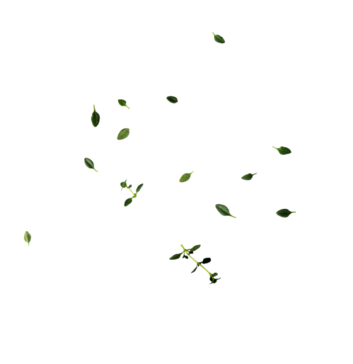 Scattered small green leaves float against a solid black background, creating a minimalist and serene composition with a natural theme.